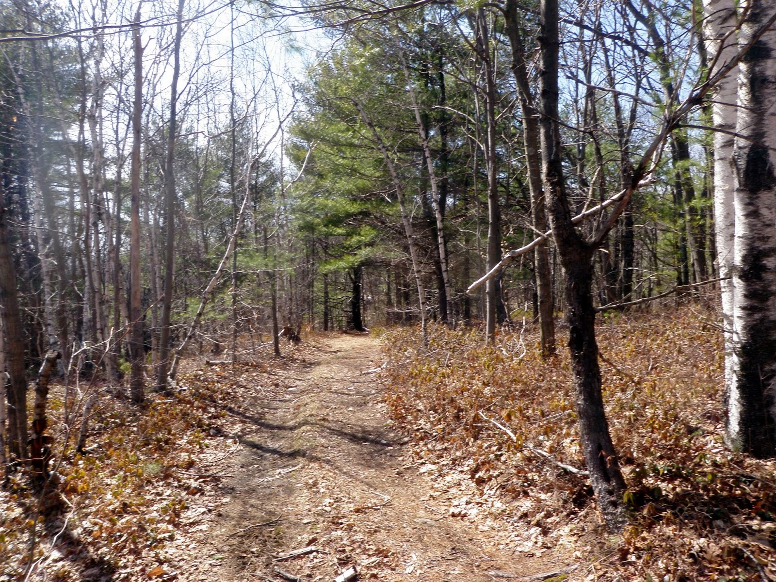 An Idiots Guide to Peakpagging and Hiking in New England The Pinnacle