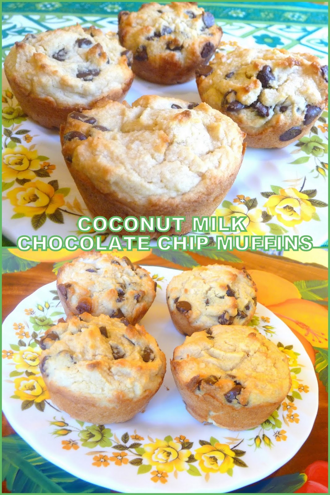 SPLENDID LOWCARBING BY JENNIFER ELOFF COCONUT MILK CHOCOLATE CHIP MUFFINS