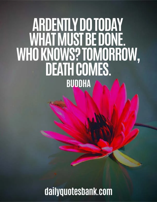 Buddha Quotes About Death