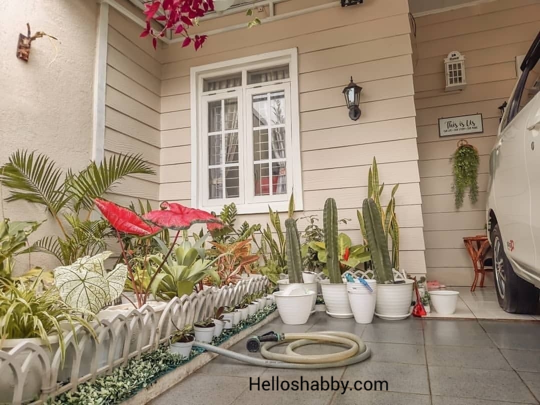 Desain Taman Kecil Untuk Lahan Terbatas Ukuran 1 x 1 M ~ HelloShabby