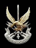 sri lankan special forces SF LRRP logo