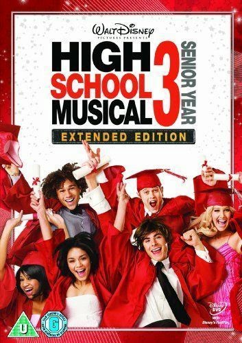 High School Musical 3 Senior Year 2008 [Hindi English] Dual Audio 300mb BRRip 480p