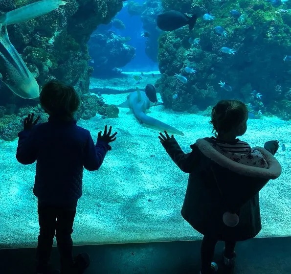Valentine's day gift. Princess Charlene, Prince Jacques and Princess Gabriella visited the Oceanographic Museum in Monaco