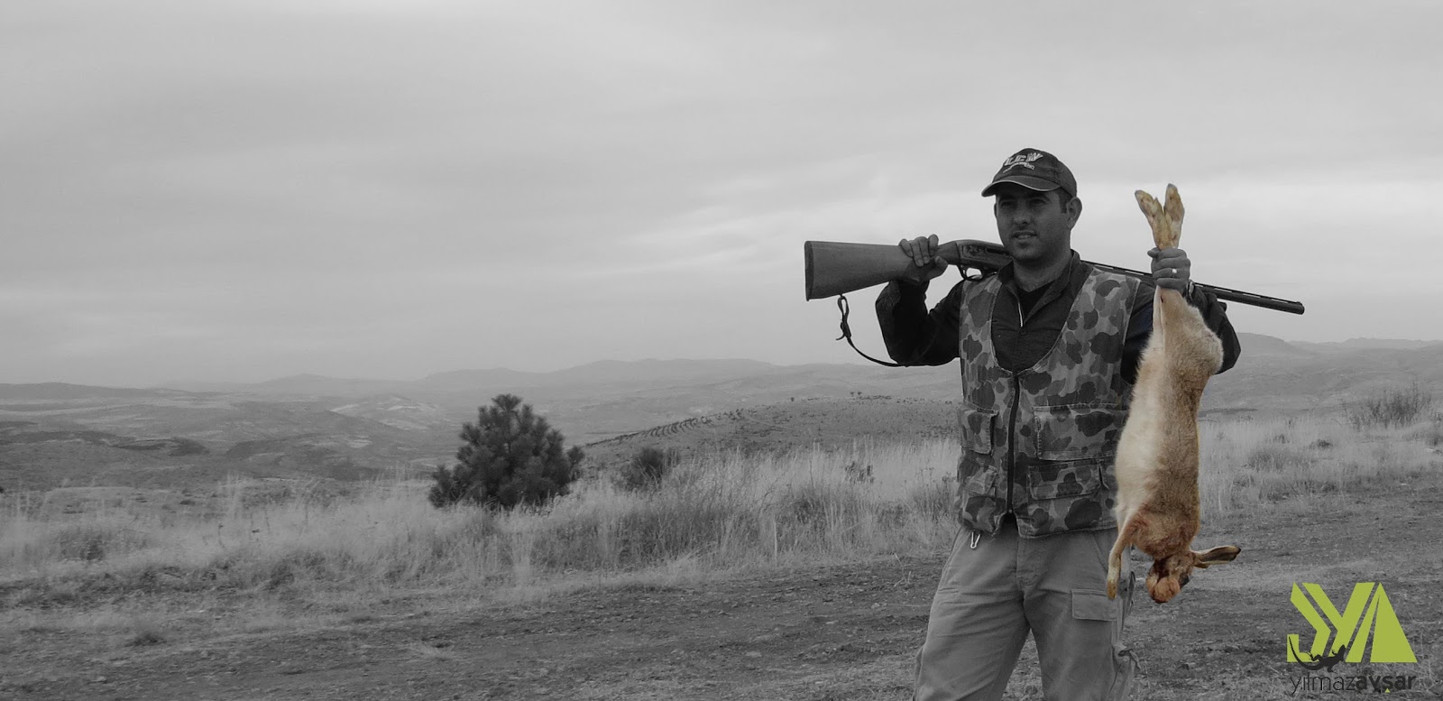 dogusan yilmaz avsar