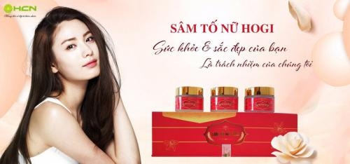 SÂM TỐ NỮ HOGI