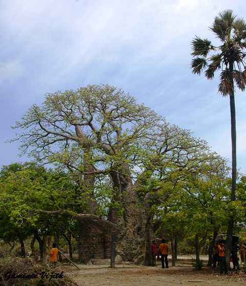 IMGP0919.JPG