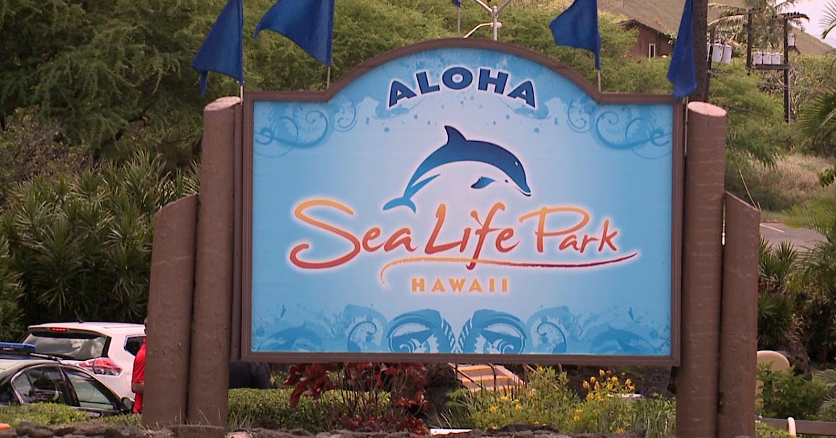 Zoo Jobs MARINE MAMMAL TRAINER