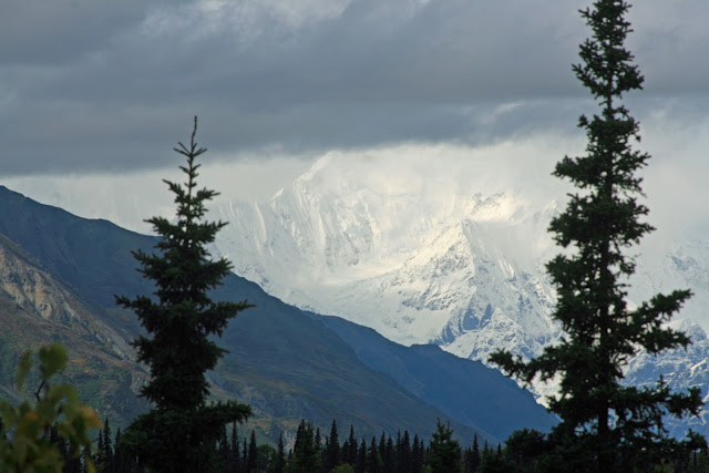 DENALI NATIONAL PARK - LA ULTIMA FRONTERA. CRONICAS DE ALASKA (5)