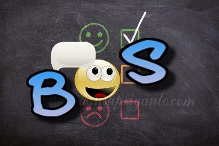 Tips Menjadi Bendahara Bos Bantuan Operasional Sekolah Aansupriyanto Com