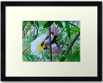 watercolour painting of Lesser Paradise Birds paradise bird art in watercolor painting