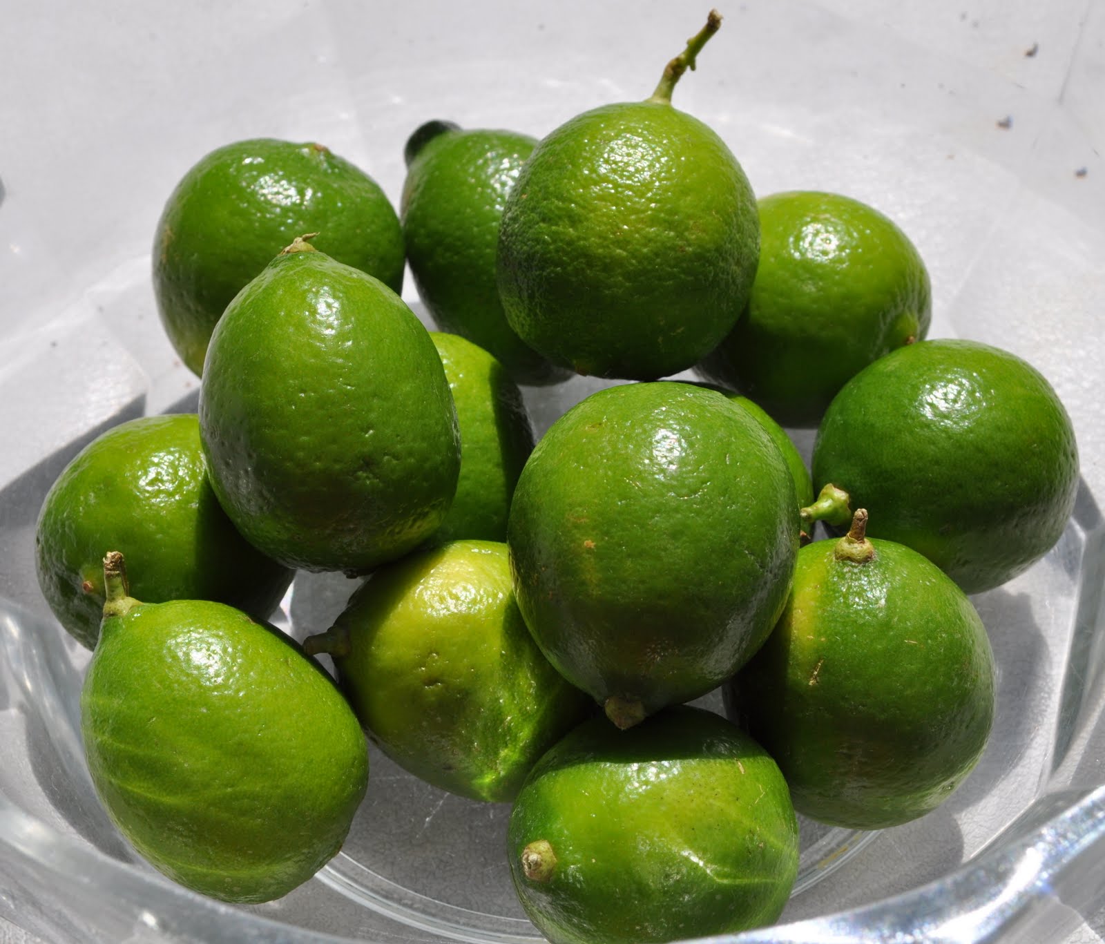 Growing Spanish Lime How to Do It Properly and the Benefits
