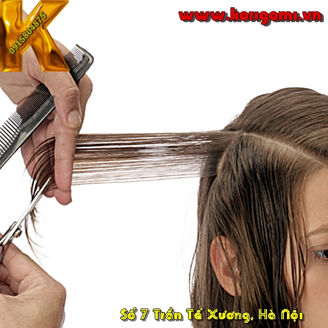BÀI CẮT TÓC 2 TẦNG BOB TRÊN LÁ ĐỘC ĐÁO TỪNG CHI TIẾT