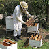 Δωρεάν εκπαίδευση στη Μελισσοκομία και στο «Θερινό Σχολείο» από το πρόγραμμα «Νέα Γεωργία για τη Νέα Γενιά»