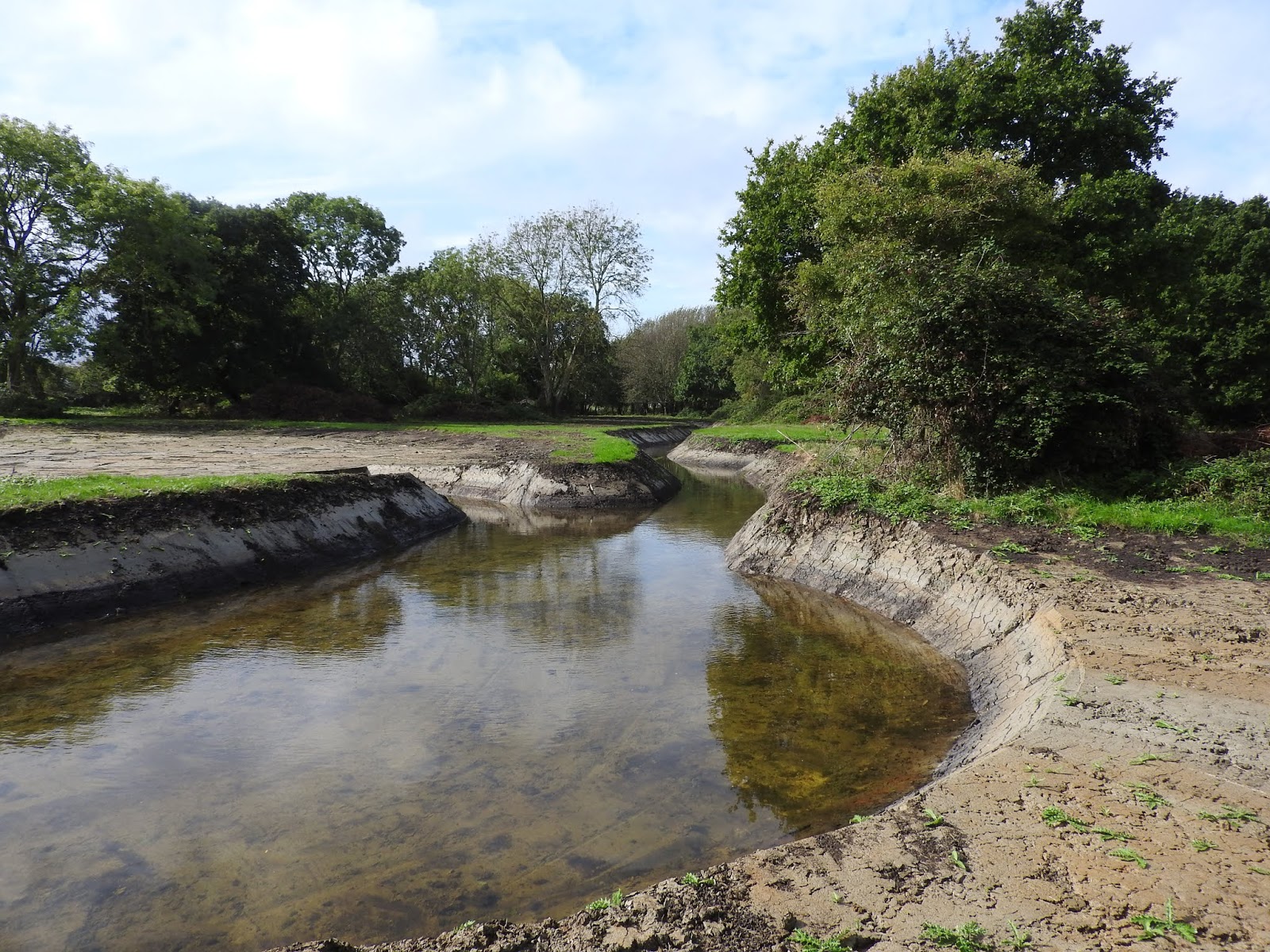Plovers Blog Lydden Valley