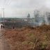Kabakaran Lahan Dekat Kandang Ayam di Kalimanggis