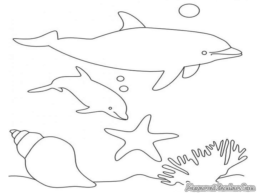 Mewarnai Ikan Lumba-Lumba Mewarnai Gambar