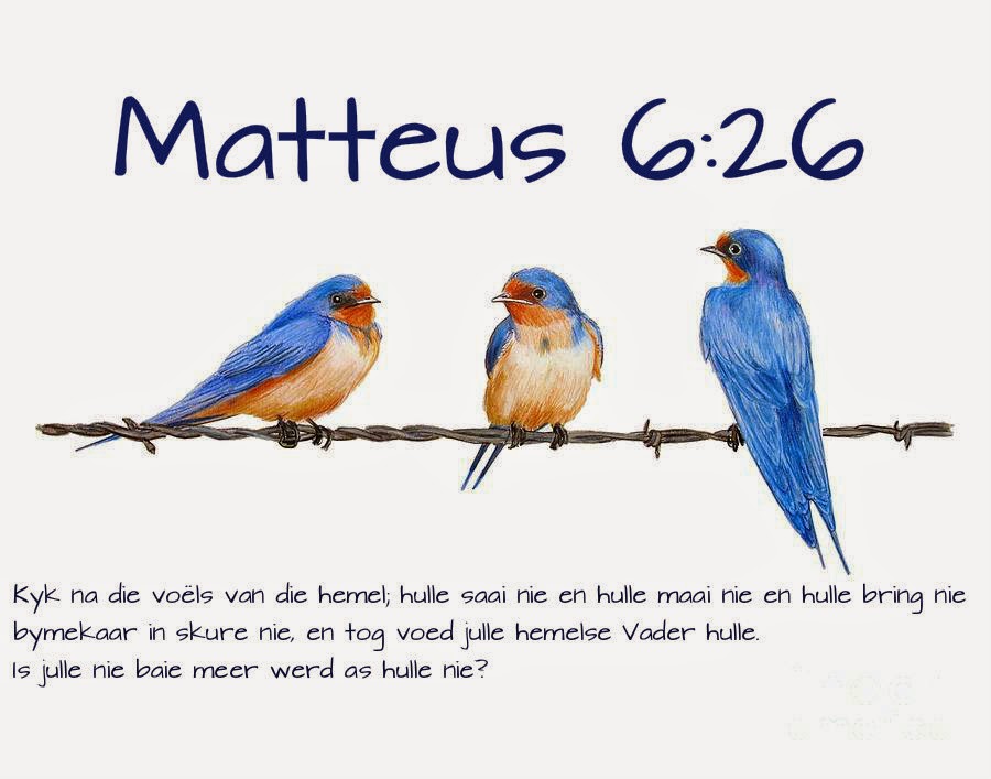 Afrikaanse Inspirerende Gedagtes Wyshede Matteus 6 26 afrikaanse-inspirerende-gedagtes-wyshede-matteus-6-26