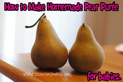Pear Sauce Baby Food Recipe Pear Sauce Baby Food Recipe