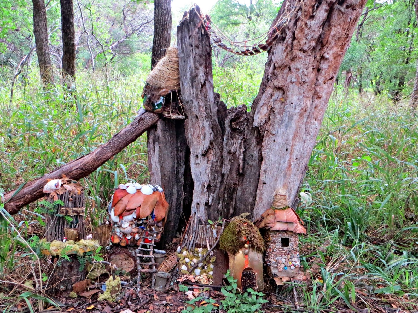 Times 2 Treasure Zilker Gardens