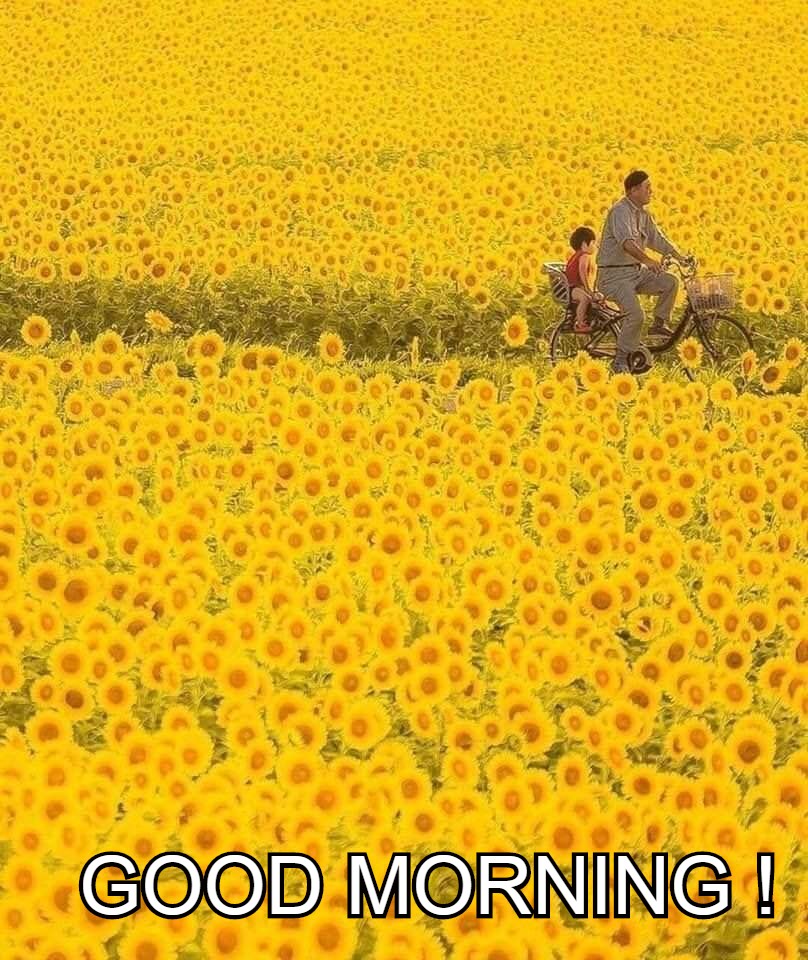 good%2Bmorning%2Bnature.jpg