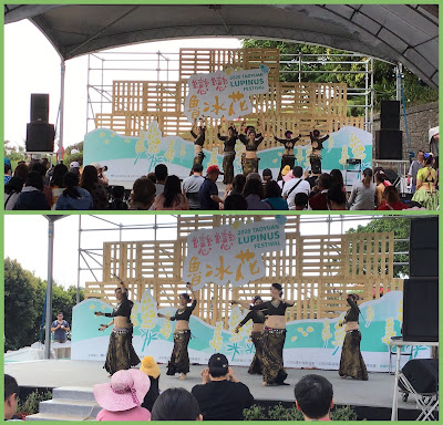 桃園龍潭景點[大北坑休閒農業區] 戀戀魯冰花˙吃喝玩樂盡在其中