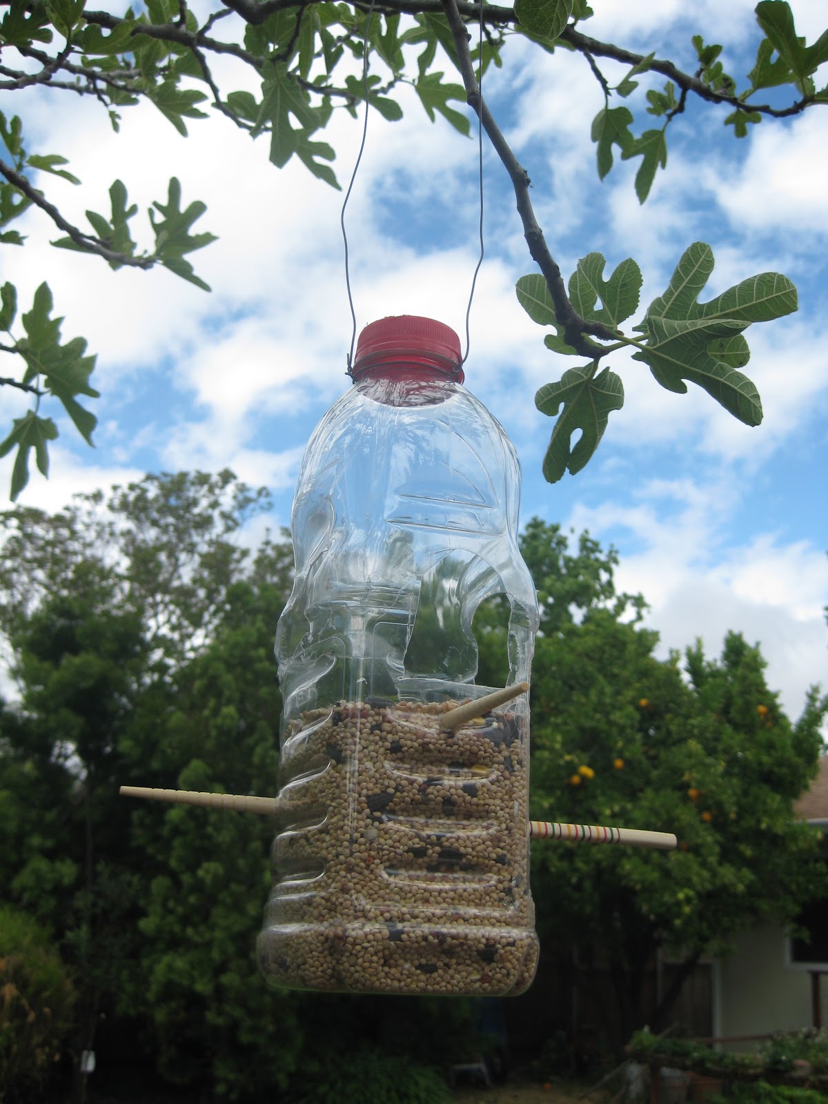 The Art of Being Creative Bottle Bird Feeder Gives Me Bird Fix
