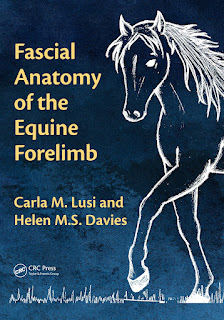 Fascial Anatomy of the Equine Forelimb