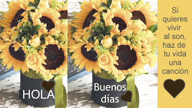 Caja de girasoles para decir buenos días, flores amarillas, otoño, imágenes con texto