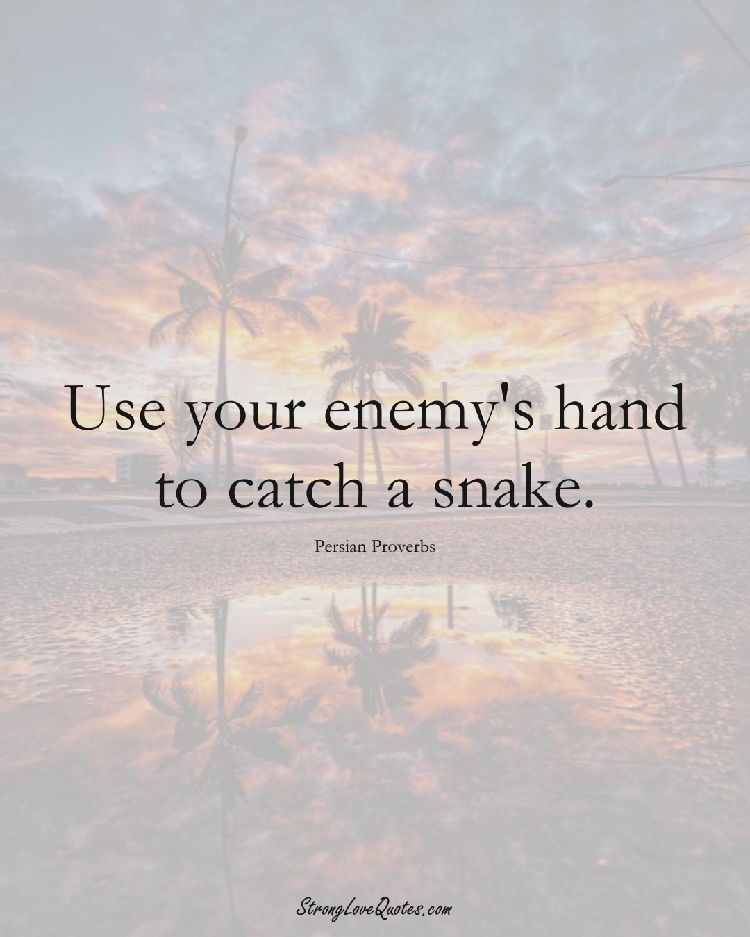 Use your enemy's hand to catch a snake. (Persian Sayings);  #aVarietyofCulturesSayings