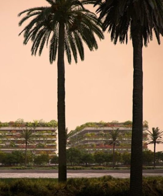 غابة عمودية بالعاصمة الإدارية غابة عمودية بالعاصمة الإدارية