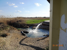 Ткаченко анна борисовна россельхознадзор