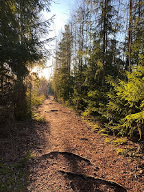 #trailrunning #polkujuoksu #pullantuoksuinenkoti #metsä #lohja #outdoors #hyvinvointi #wellness #forest