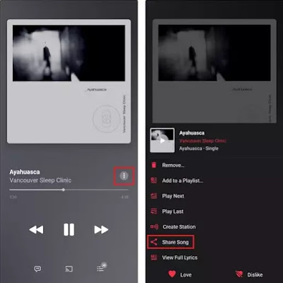 How to Share Songs to Instagram Stories from Spotify, Apple Music, and More-3 How to Share Songs to Instagram Stories from Spotify, Apple Music, and More-3