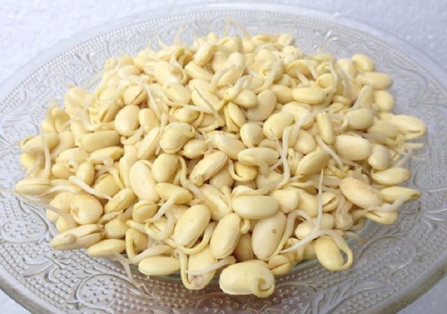 thanh phan cua viên uống nội tiết Evamost