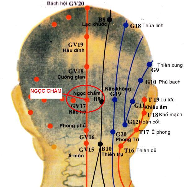 huyệt ngọc chẩm