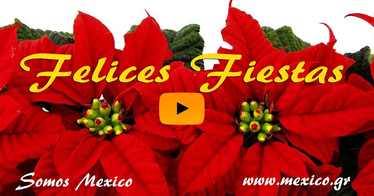 Somos Mexico: Nochebuena, flor de la Navidad (Poinsettia)