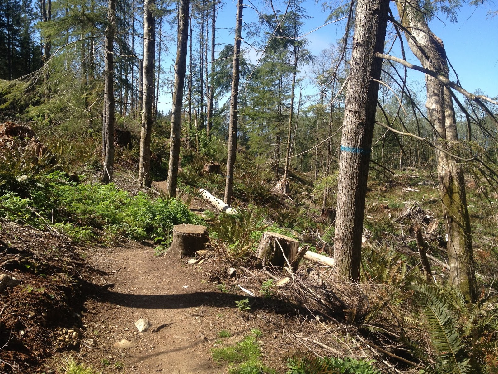 Before The Deluge Blanchard Mountain April 2016