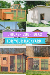 chicken coop inexpensive easy plans spaces coops craftdrawer space storage