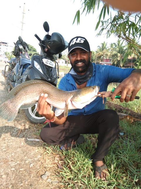 Manal Vaha Fish From Kottayam