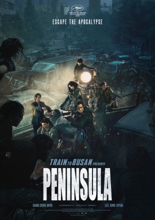 Train to Busan Presents: Peninsula 2020 BRRip 480p Dual Audio 300Mb