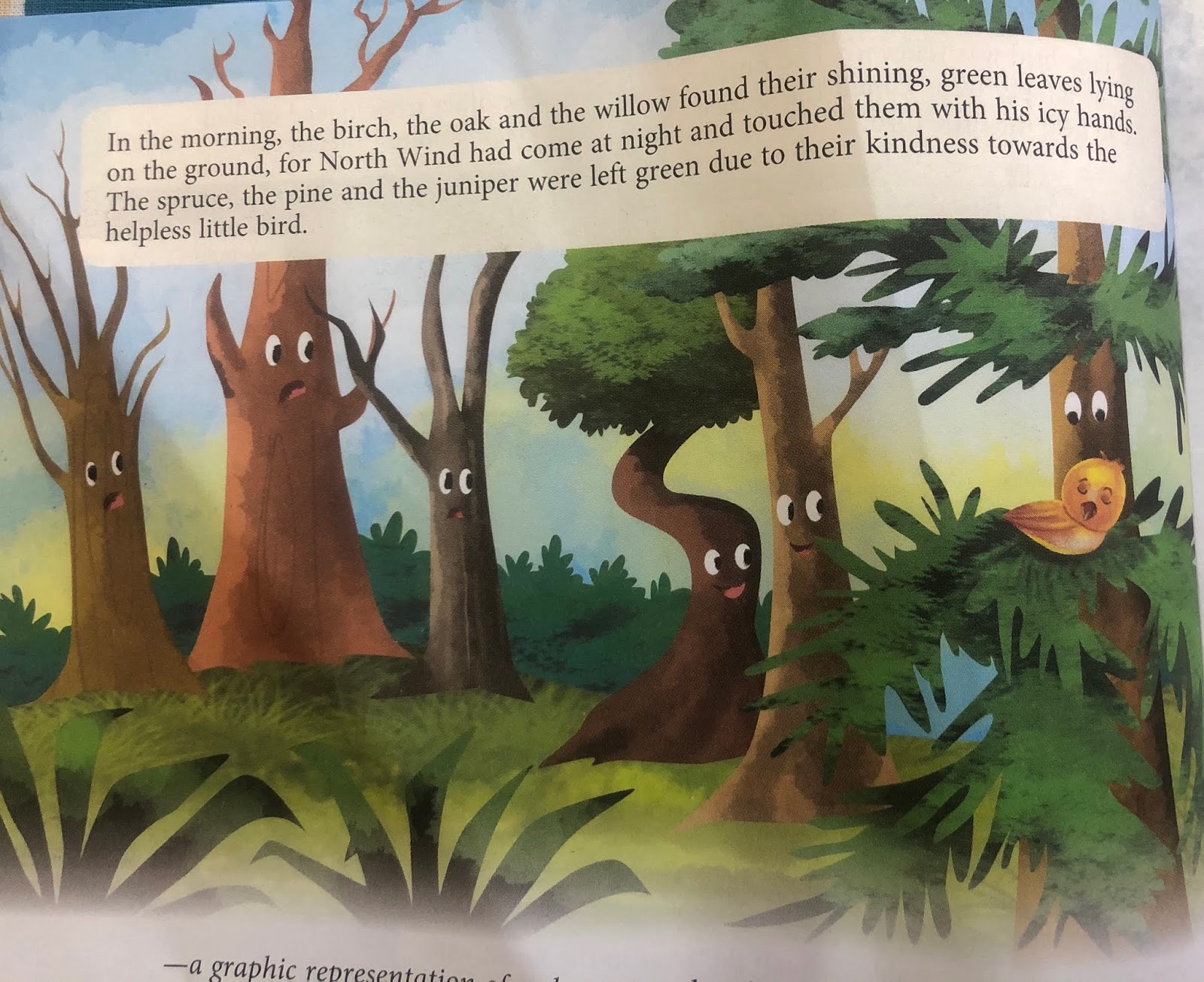 L1 Why Evergreen Trees Never Lose Their Leaves (Contd.)