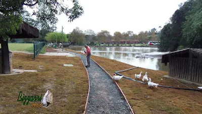 Execução do caminho em volta do lago sendo caminho com o piso com concreto desempenado junto com ao muro de pedra rústica nas bordas do lago.