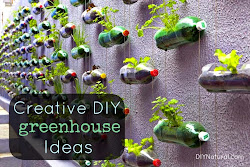 greenhouse bottle diy soda bottles mini gardening plastic creative recycled plant plans garden plants project planters making water planting pop