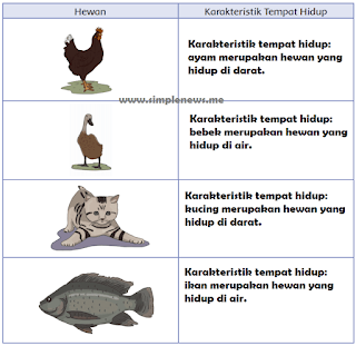 tabel karakteristik tempat hidup hewan-hewan www.simplenews.me