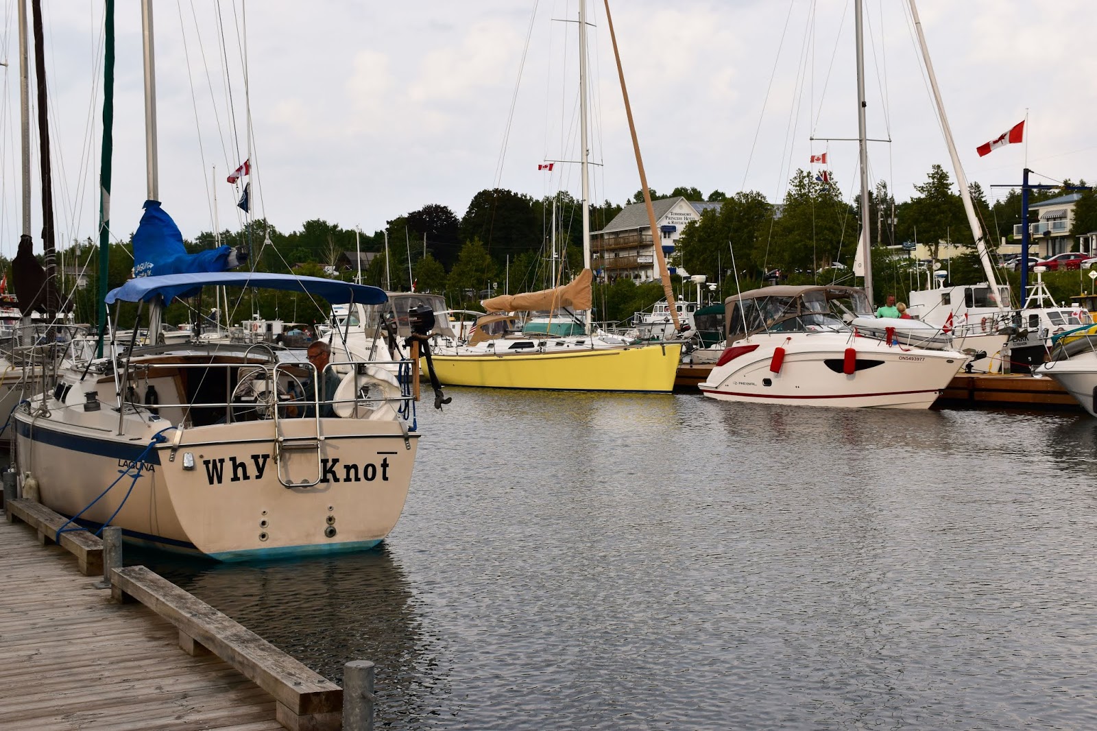 Woman in Real Life Top Things