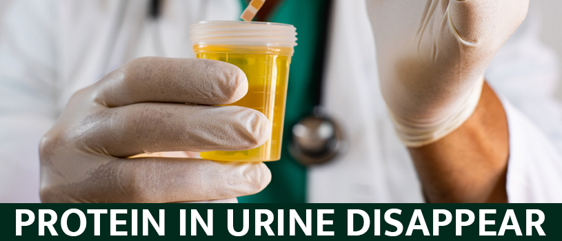 Can protein in urine disappear?
