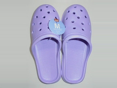 上面全体像 上面全体像