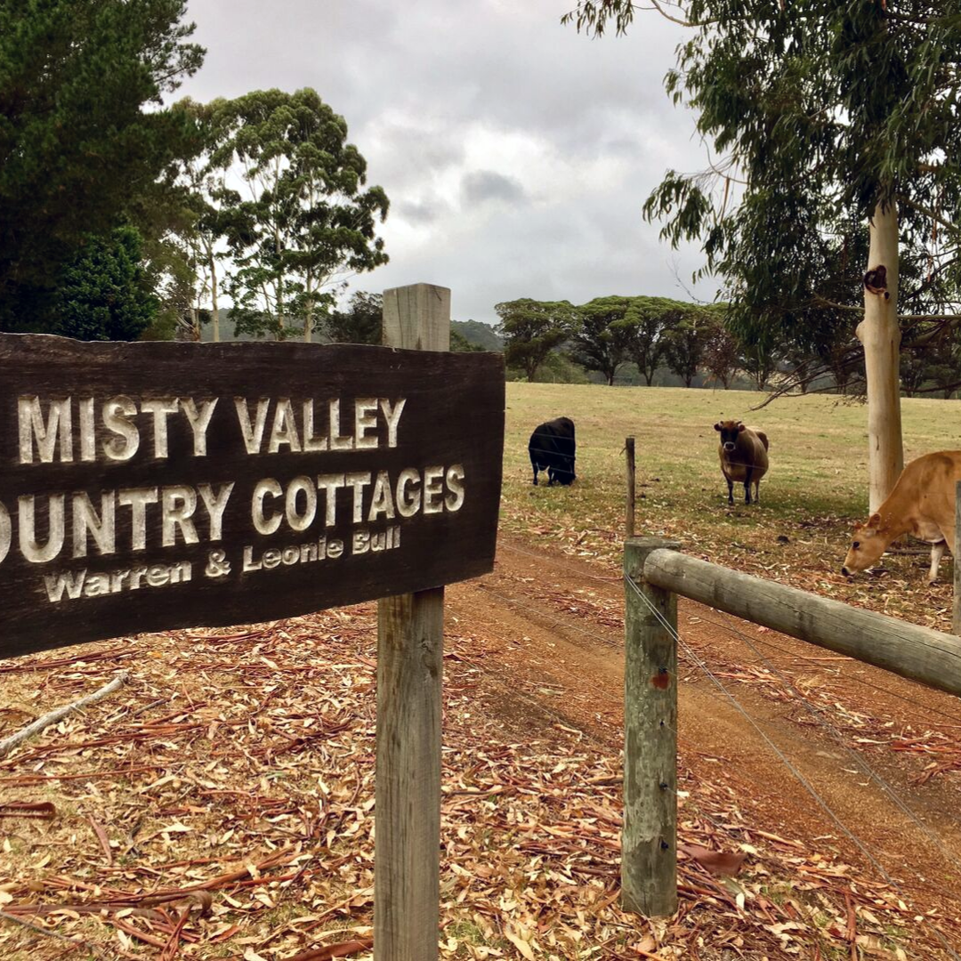 Pet Friendly Cottages Christmas 2022 20 Of Australia's Best Dog-Friendly Getaways | Australian Dog Lover