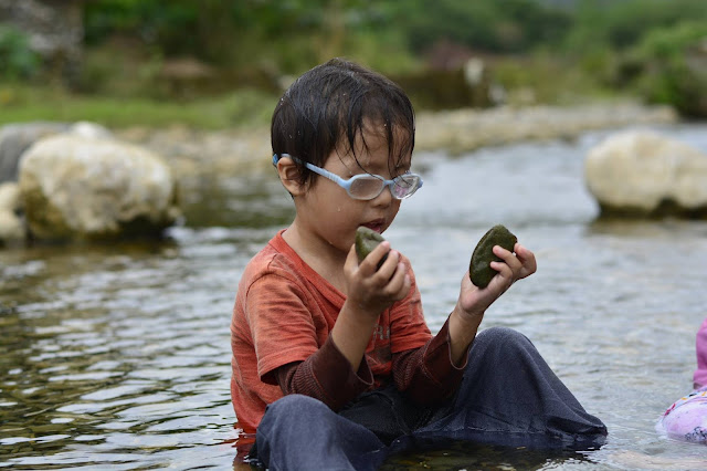 Homeschooling the Early Years