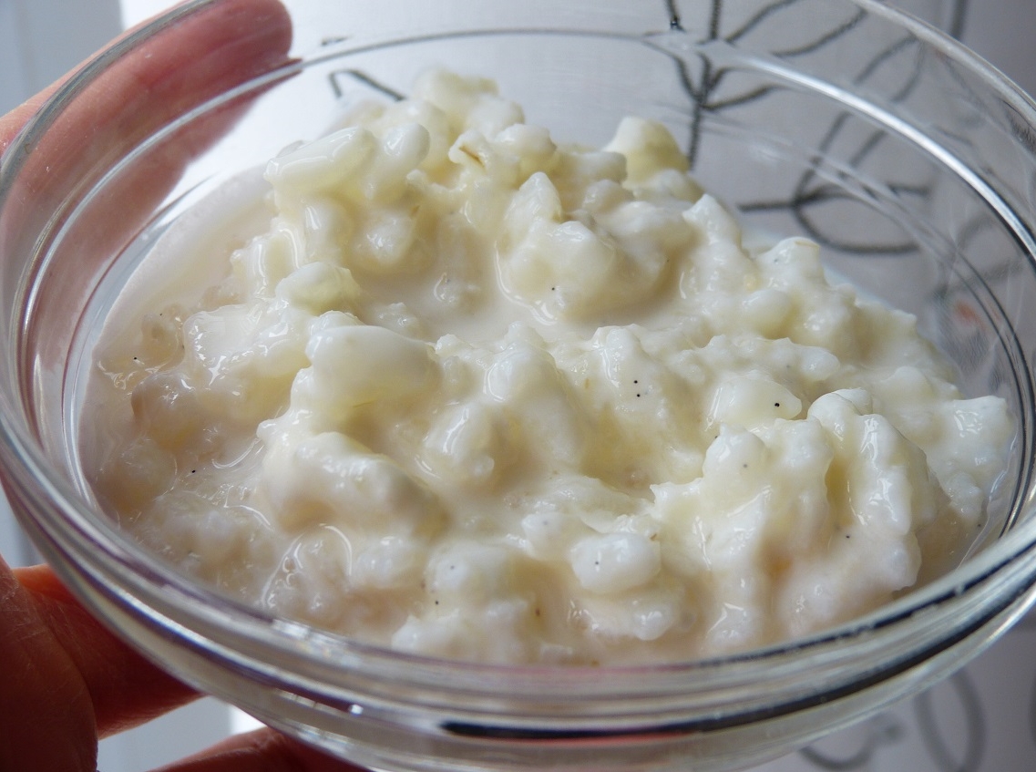 Insatiablement curieuse Le pouding au riz de Simon (ou riz au lait façon Ricardo)
